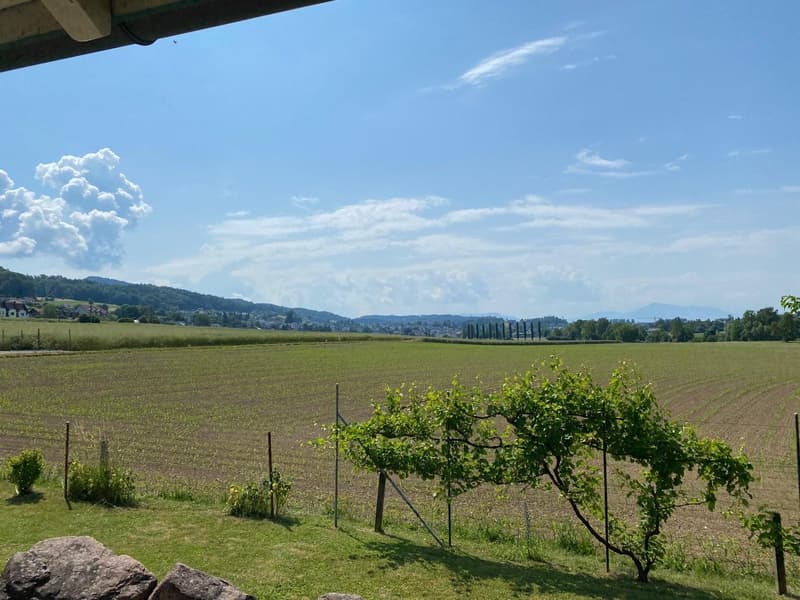 Blick nach Süden