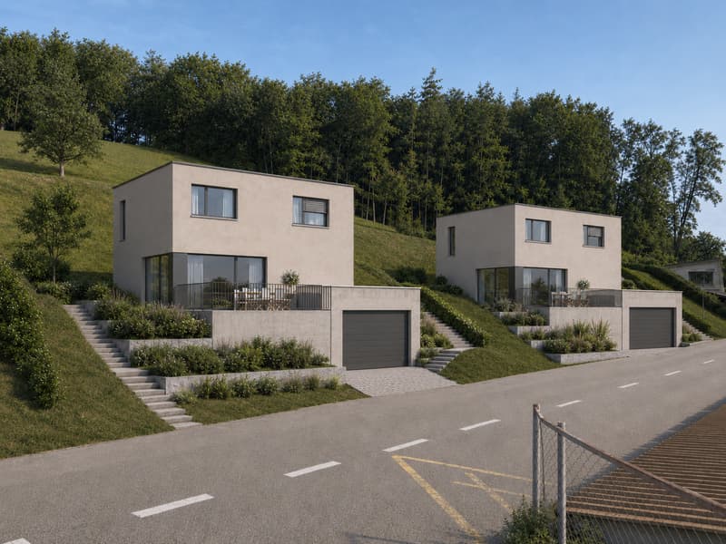 Newly built project: Single-family home in sunny hillside location (1)