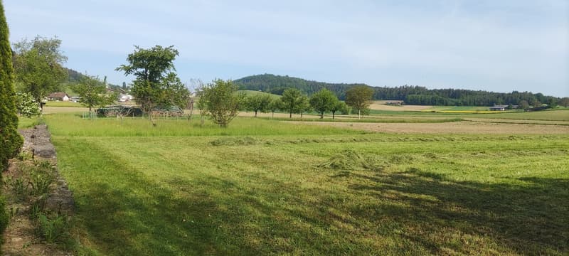 Neubauprojekt - Sechs Familienhäuser in Windlach ZH (3)