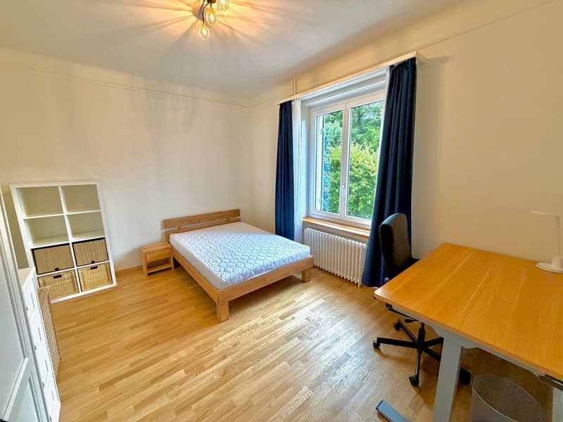 Grosses, schönes Zimmer an top Lage im Kreis 2 :) (3)