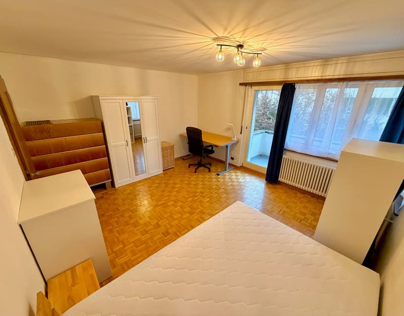 Ruhig gelegenes WG-Zimmer mit guter Verkehrs-/ÖV Anbindung :) (3)