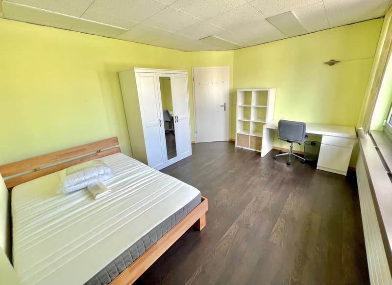 Sehr grosses Zimmer in moderner Wohnung :) (1)