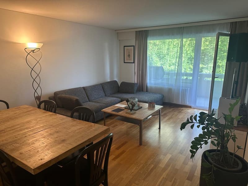 Grosszügige 3.5Zi. Wohnung im Grünen. Tiefgaragenplatz inkl. (1)