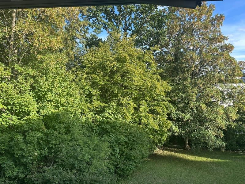 Grosszügige 3.5Zi. Wohnung im Grünen. Tiefgaragenplatz inkl. (8)