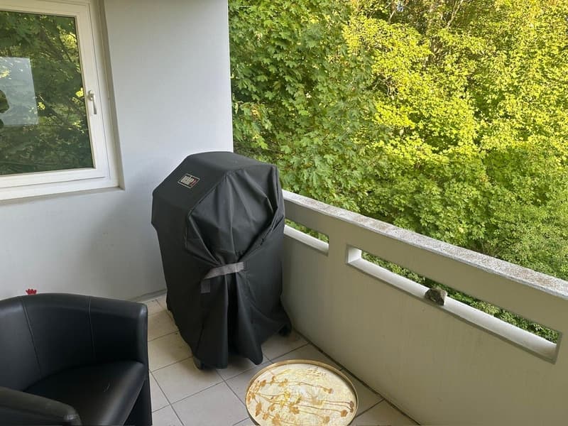 Grosszügige 3.5Zi. Wohnung im Grünen. Tiefgaragenplatz inkl. (7)