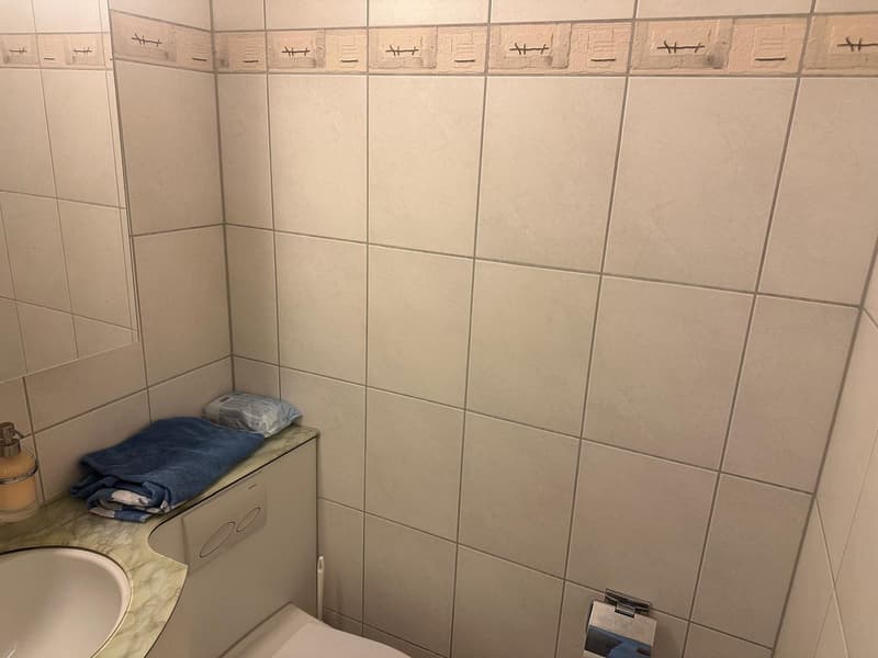 Grosszügige 3.5Zi. Wohnung im Grünen. Tiefgaragenplatz inkl. (6)