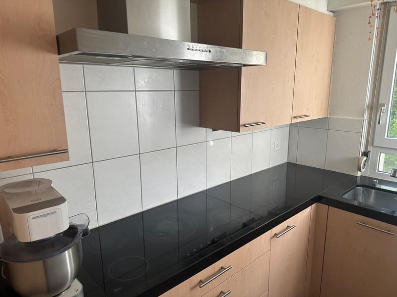 Grosszügige 3.5Zi. Wohnung im Grünen. Tiefgaragenplatz inkl. (4)