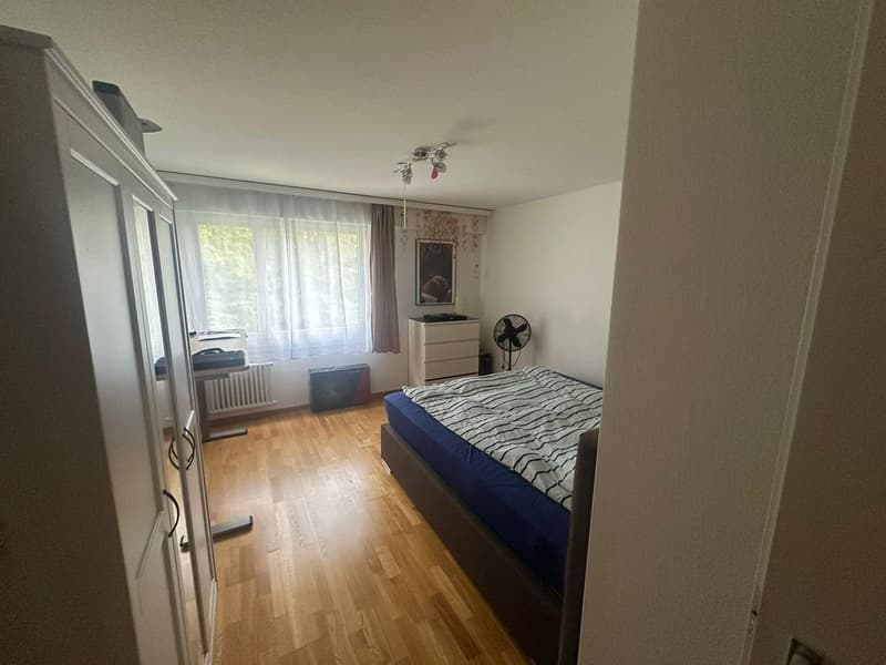 Grosszügige 3.5Zi. Wohnung im Grünen. Tiefgaragenplatz kann übernommen werden (2)