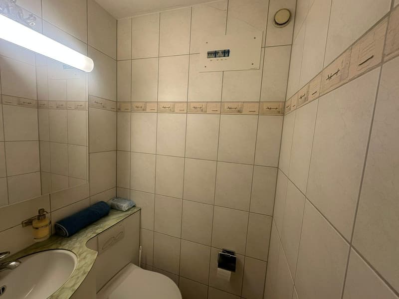 Grosszügige 3.5Zi. Wohnung im Grünen. Tiefgaragenplatz kann übernommen werden (8)