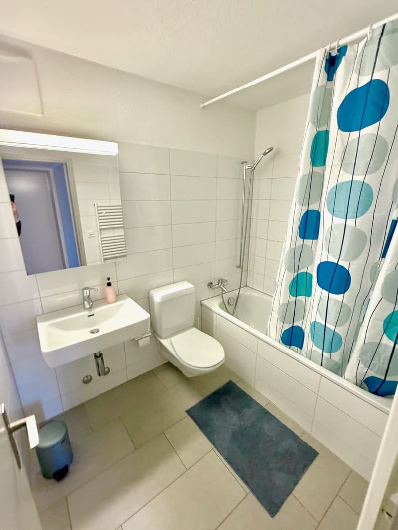Grosses Zimmer ruhig gelegen mit gutem ÖV Anschluss =) (6)