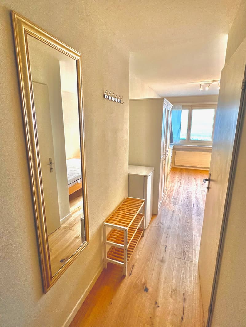 Günstiges 1-Zimmer Studio (2)