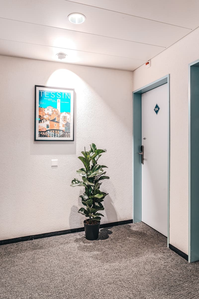 Möbliertes Zimmer mit eigenem Bad | Coliving | Zürich-Dietikon (103)