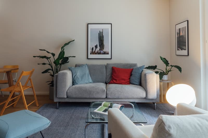 gray sofa, blue pillows, red pillow, coffee table, wooden table, folding chairs, floor lamp, two framed photos, plants, carpet