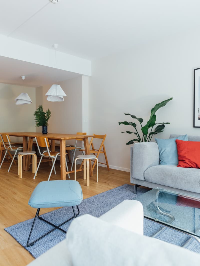 modern, bright living room, wooden floor, grey couch, blue rug, glass table, dining table, wooden chairs
