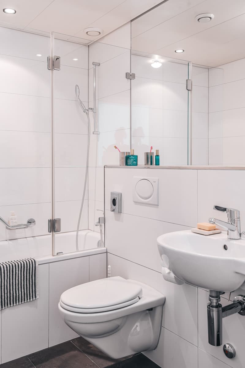Zürich | Private Suite mit Bad | All-inclusive Coliving | Dietikon (19)