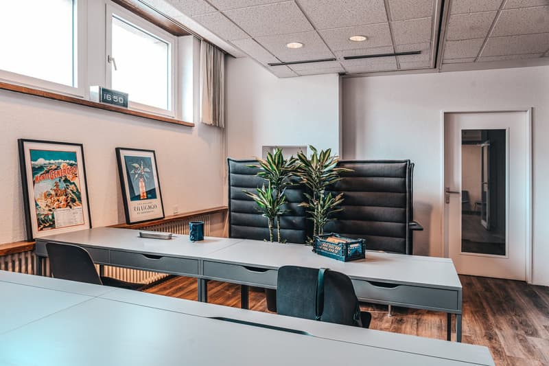 Zürich | Private Suite mit Bad | All-inclusive Coliving | Dietikon (7)