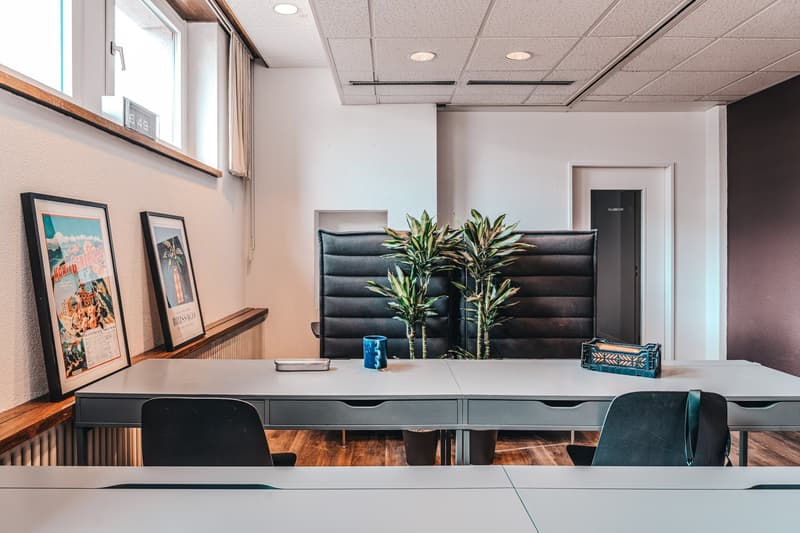 Zürich | Private Suite mit Bad | All-inclusive Coliving | Dietikon (26)