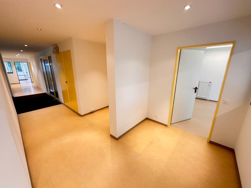 Spacious office/commercial space in Zumikon - available immediately (17)