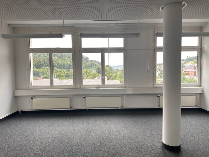 empty room, large windows, radiators, fluorescent ceiling lights