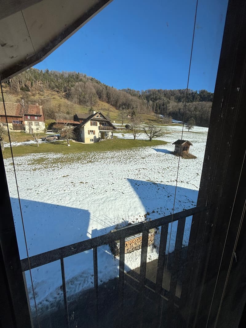 Appartement-maisonnette de 4,5 pièces en construction neuve dans un environnement naturel (15)