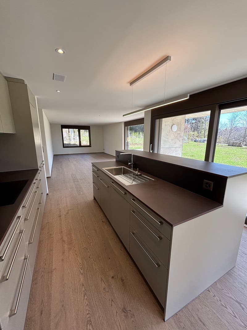 Construction neuve : Très grand appartement 3.5 pièces avec jardin de 347m2 (6)