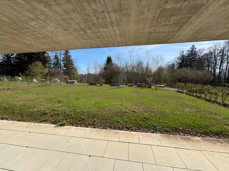 Construction neuve : Très grand appartement 3.5 pièces avec jardin de 347m2 (3)