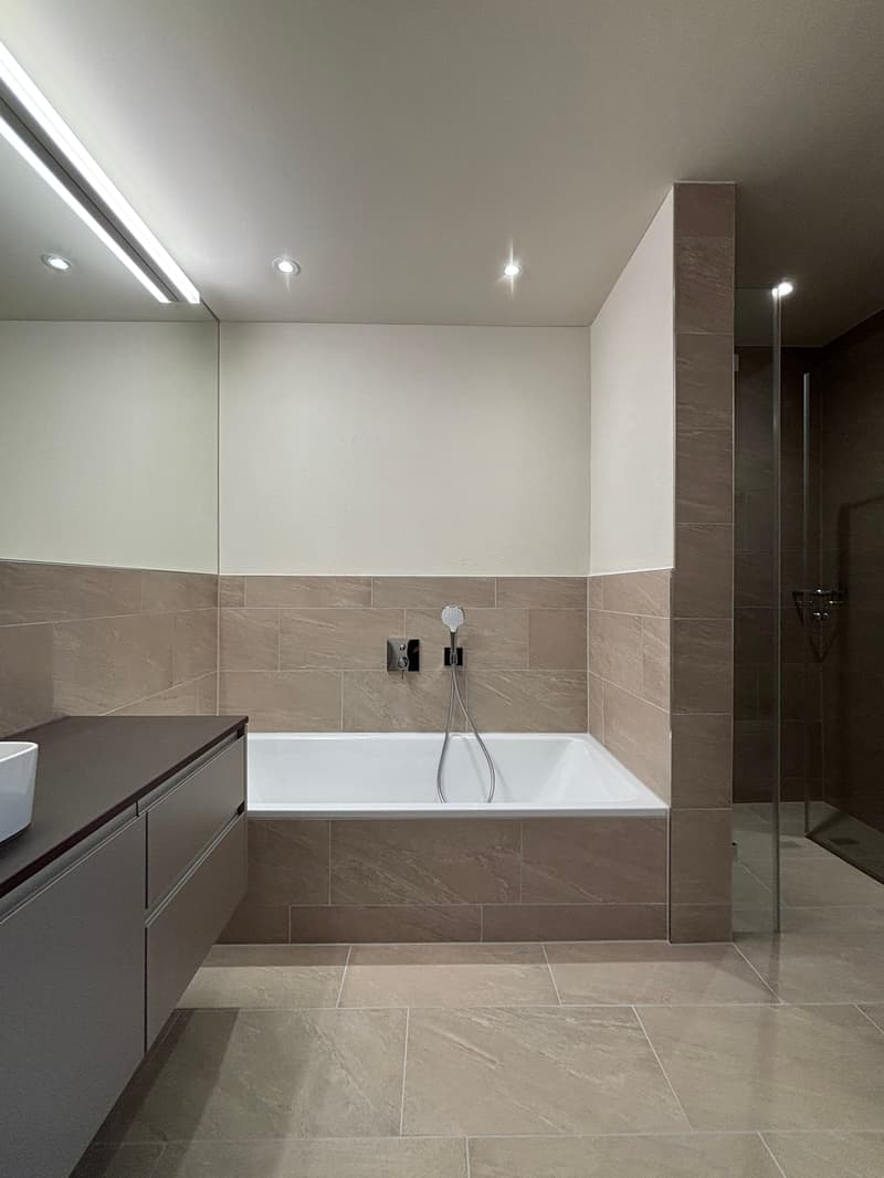 Construction neuve : Très grand appartement 3.5 pièces avec jardin de 347m2 (10)