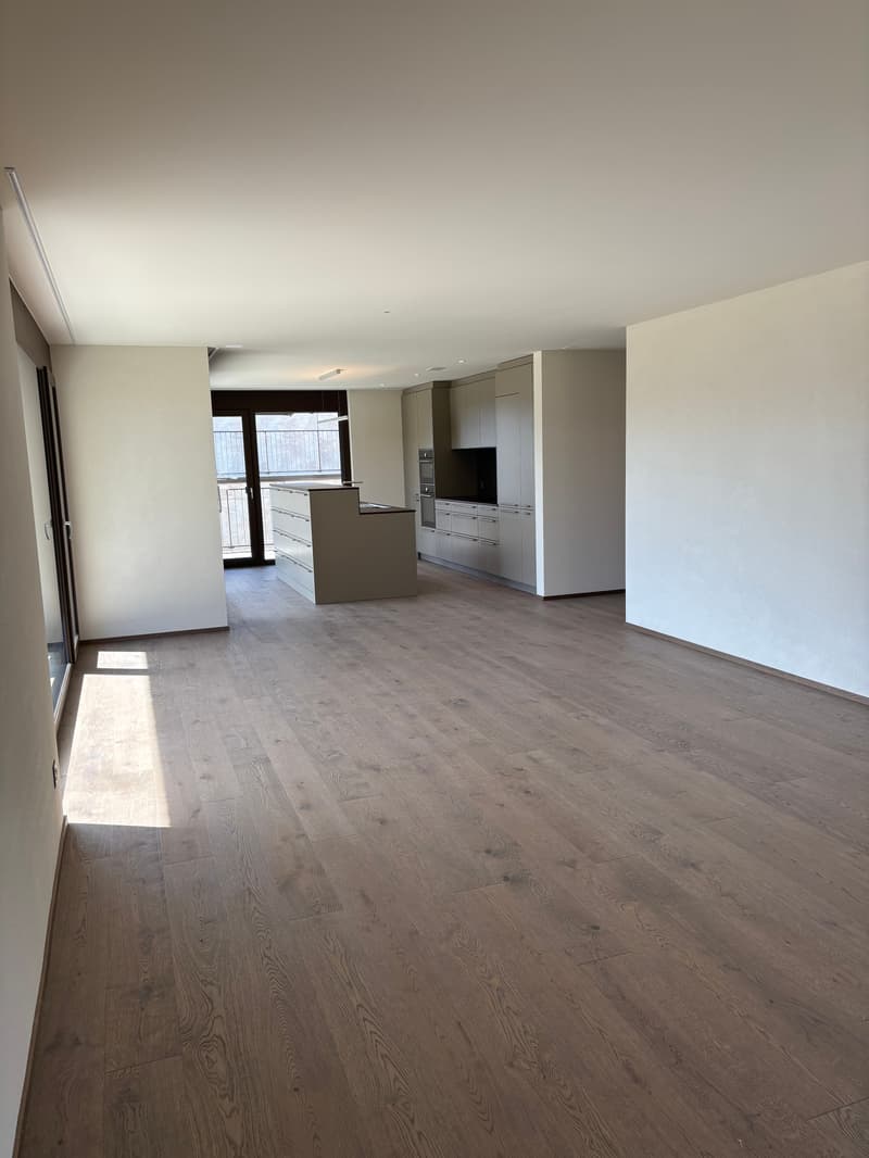 Primo affitto: Appartamento spazioso di 4,5 locali con balcone di 41m2 (7)