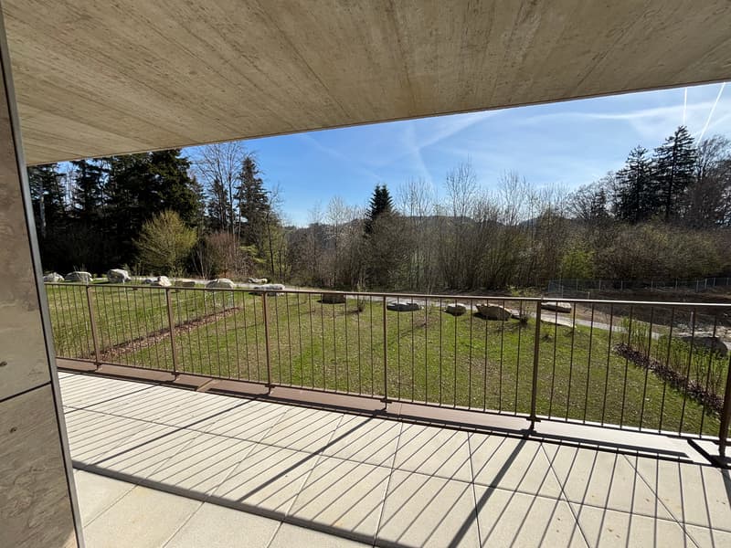 Primo affitto: Appartamento spazioso di 4,5 locali con balcone di 41m2 (17)