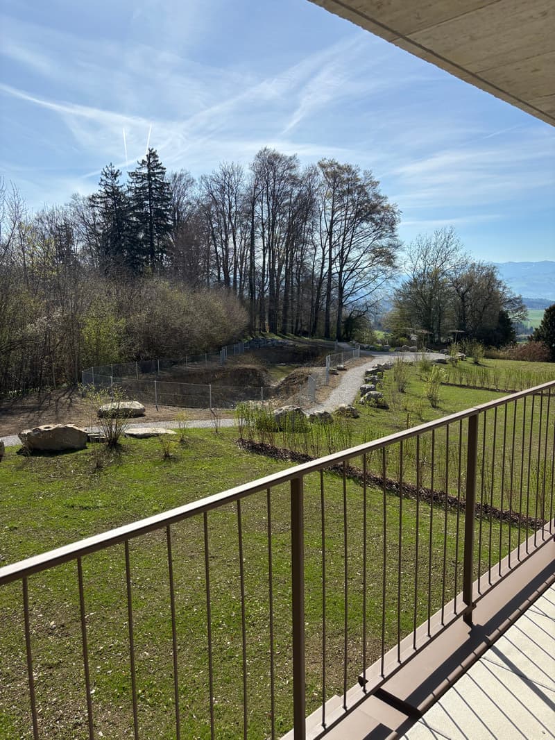 Primo affitto: Appartamento spazioso di 4,5 locali con balcone di 41m2 (2)