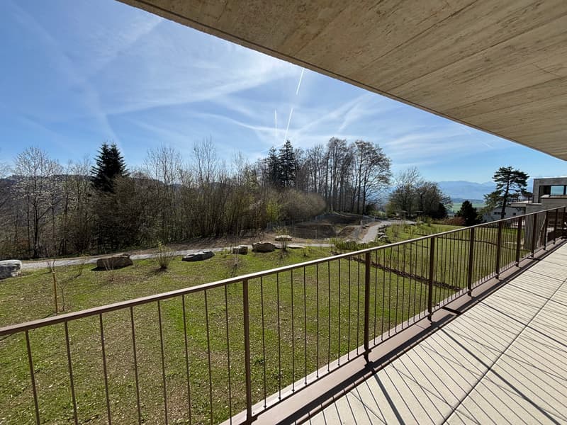 Primo affitto: Appartamento spazioso di 4,5 locali con balcone di 41m2 (18)