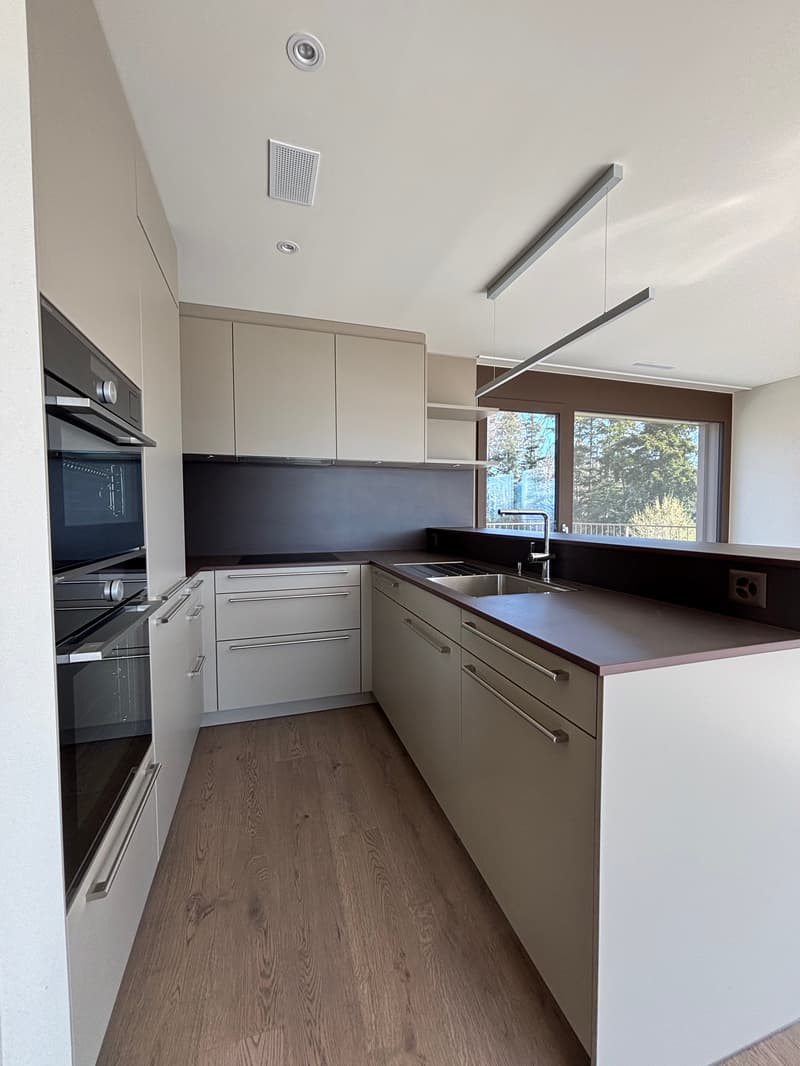ERSTBEZUG 2.5-Zimmer-Attikawohnung in ruhiger Lage mit 2 Terassen  (78m2) (3)
