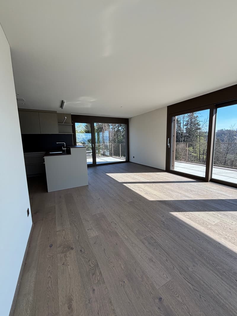 ERSTBEZUG 2.5-Zimmer-Attikawohnung in ruhiger Lage mit 2 Terassen  (78m2) (7)