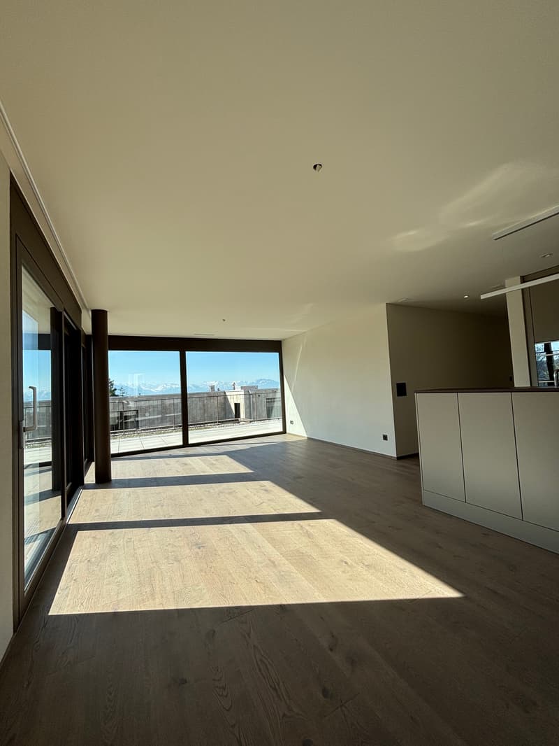 ERSTBEZUG 2.5-Zimmer-Attikawohnung in ruhiger Lage mit 2 Terassen  (78m2) (6)