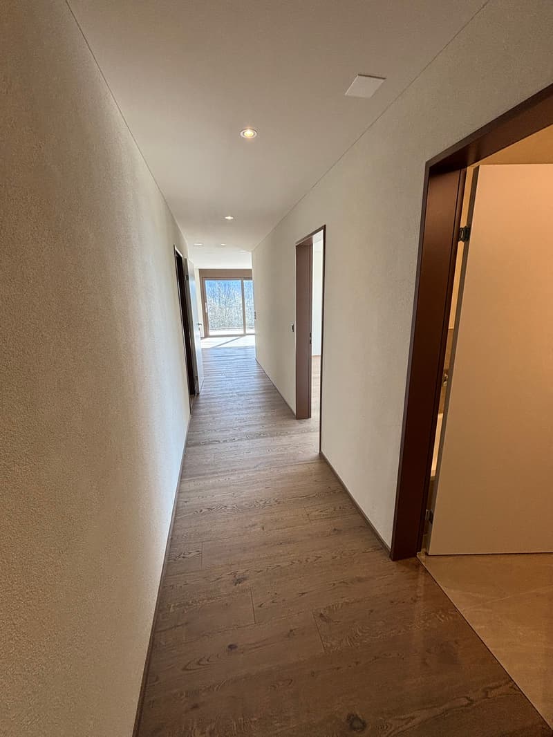 ERSTBEZUG 2.5-Zimmer-Attikawohnung in ruhiger Lage mit 2 Terassen  (78m2) (13)