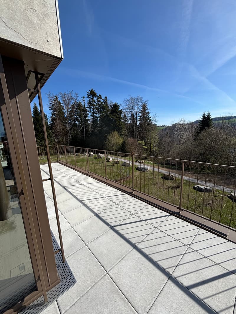 ERSTBEZUG 2.5-Zimmer-Attikawohnung in ruhiger Lage mit 2 Terassen  (78m2) (17)