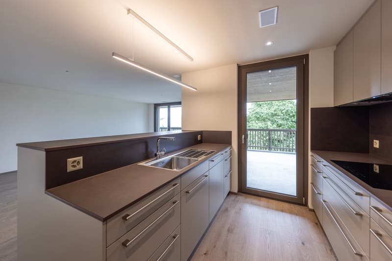 modern kitchen with wooden floor, stainless steel sink, faucet, sliding glass door to balcony, white cabinets, wooden countertops, overhead lighting