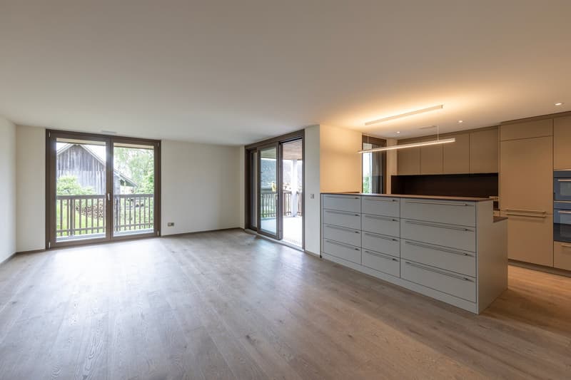 Open kitchen, wooden floor, sliding glass doors, balcony, modern cabinets, built-in appliances