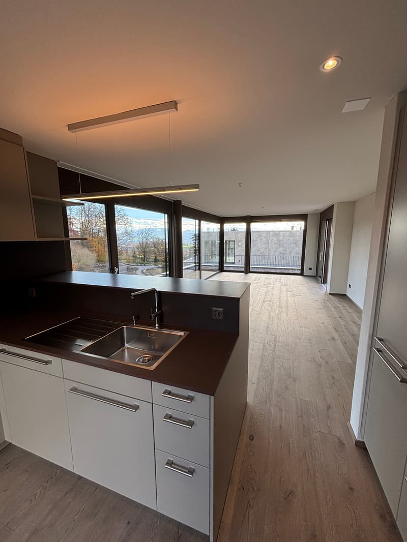 Newly built 3.5-room attic apartment with two terraces and a view of nature (8)