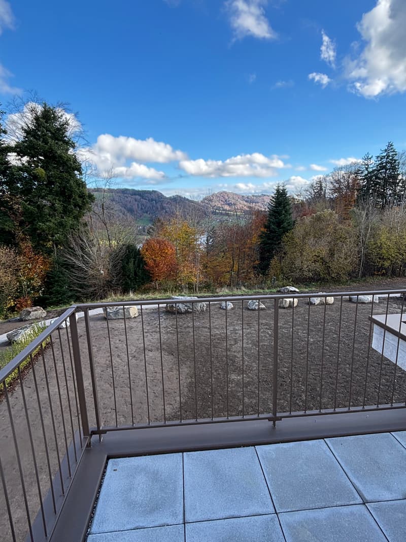 Newly built 3.5-room attic apartment with two terraces and a view of nature (6)