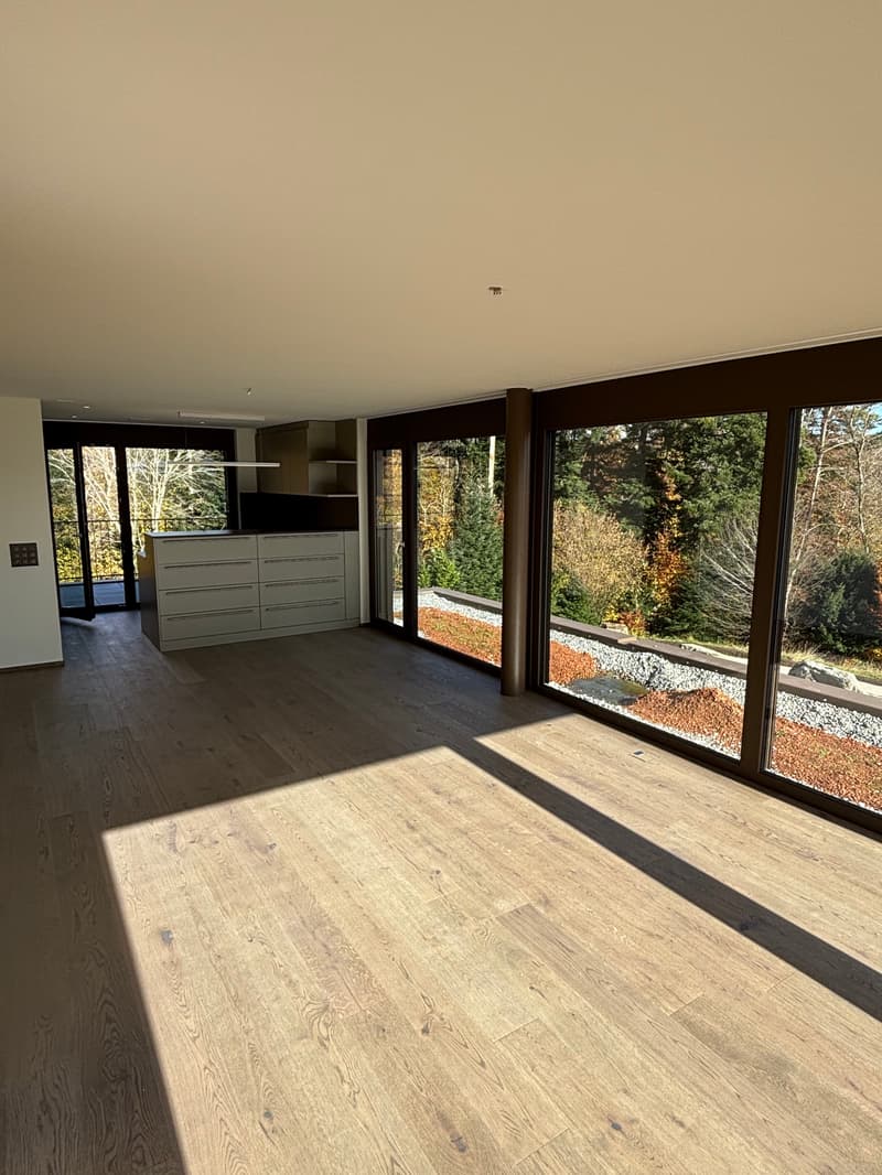 Newly built 3.5-room attic apartment with two terraces and a view of nature (11)