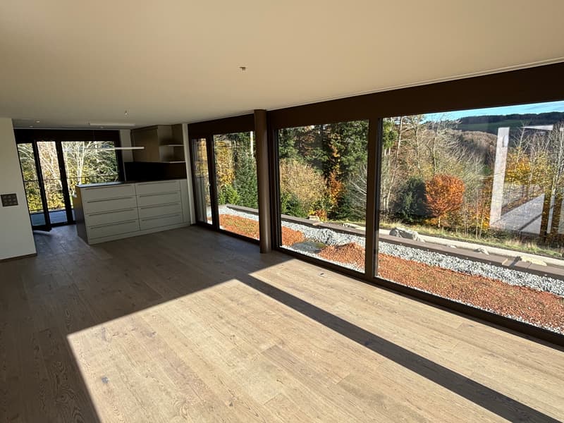 Newly built 3.5-room attic apartment with two terraces and a view of nature (10)