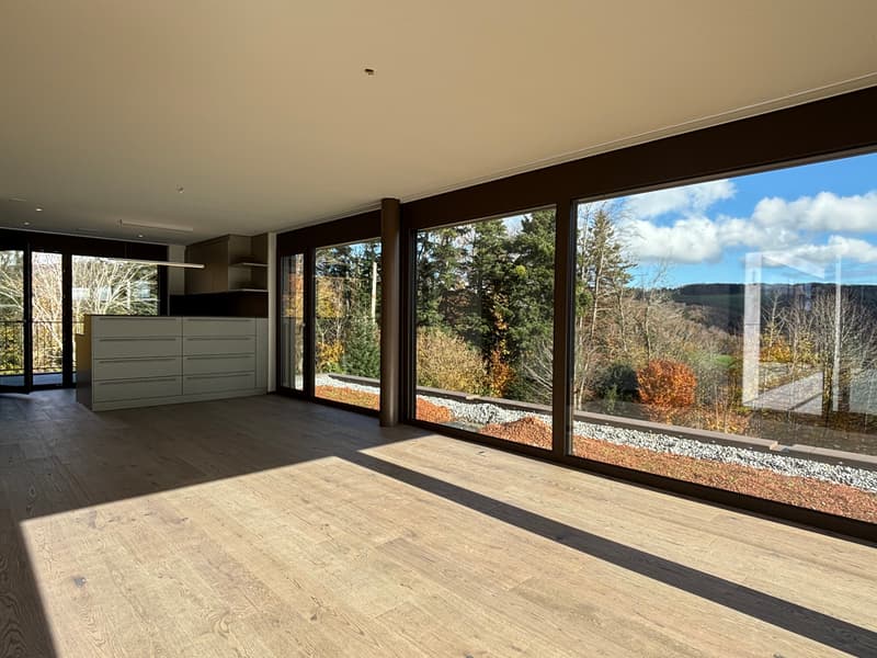 Newly built 3.5-room attic apartment with two terraces and a view of nature (3)