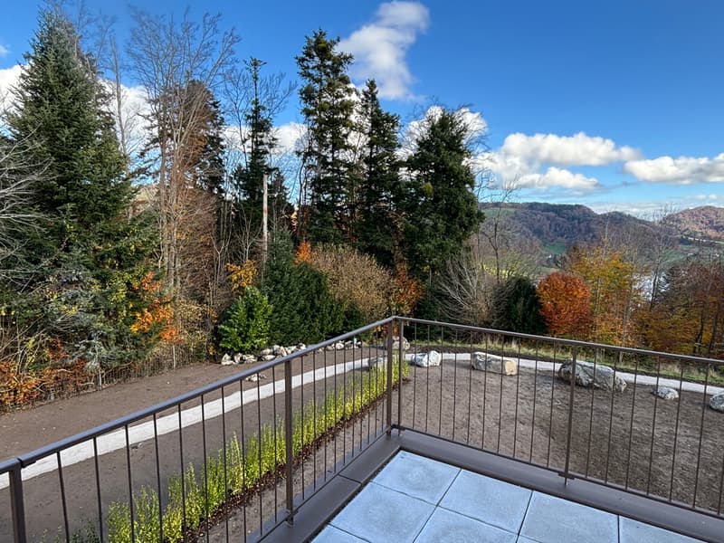 Newly built 3.5-room attic apartment with two terraces and a view of nature (15)