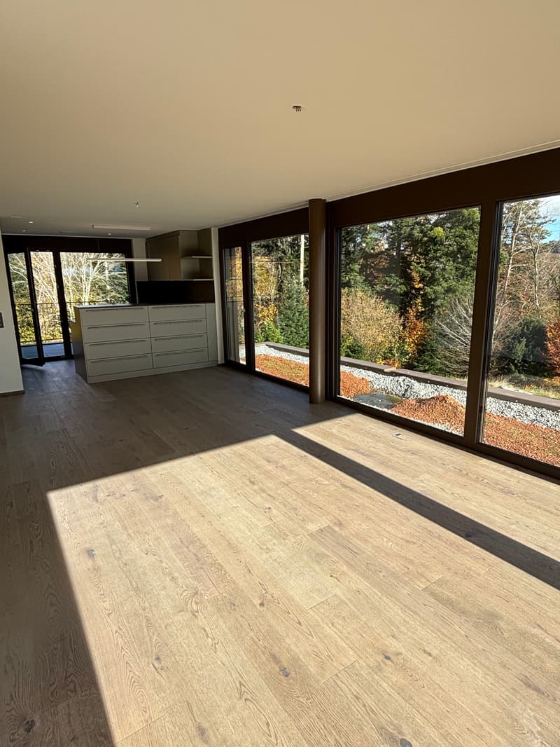 Newly built 3.5-room attic apartment with two terraces and a view of nature (17)