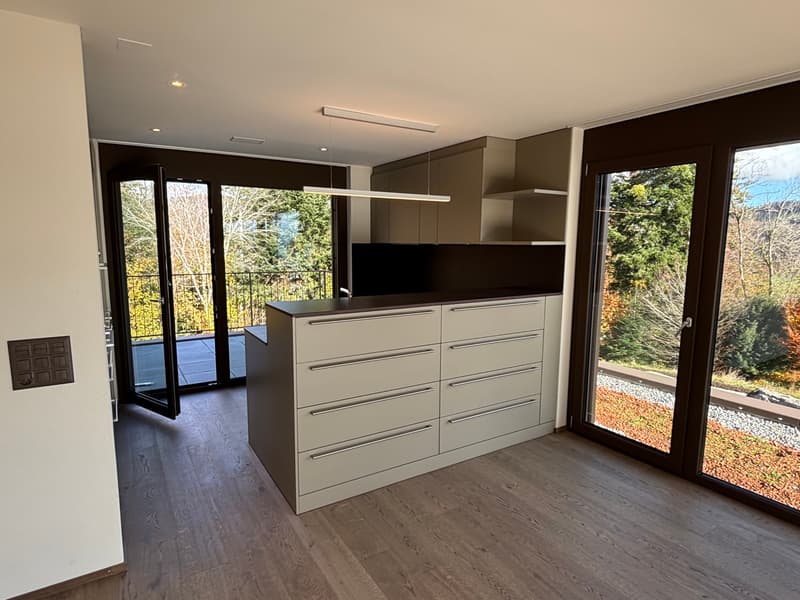 Newly built 3.5-room attic apartment with two terraces and a view of nature (2)