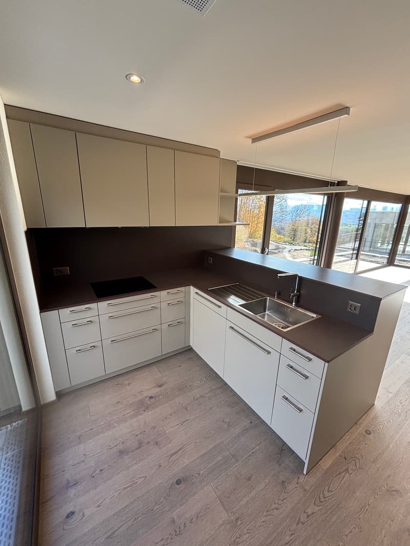 Newly built 3.5-room attic apartment with two terraces and a view of nature (9)