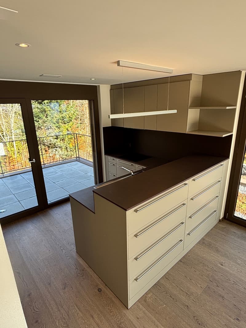 Newly built 3.5-room attic apartment with two terraces and a view of nature (7)