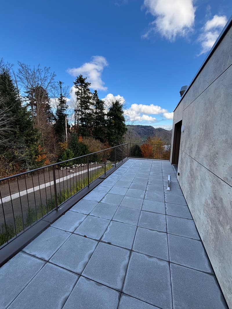 Newly built 3.5-room attic apartment with two terraces and a view of nature (12)