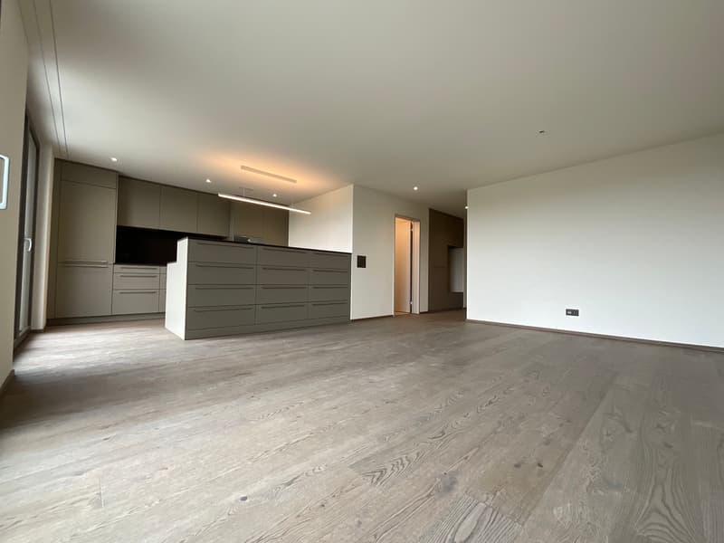 3.5-Zimmer-Garten-Wohnung mit atemberaubendem Ausblick und Zusatzraum (7)
